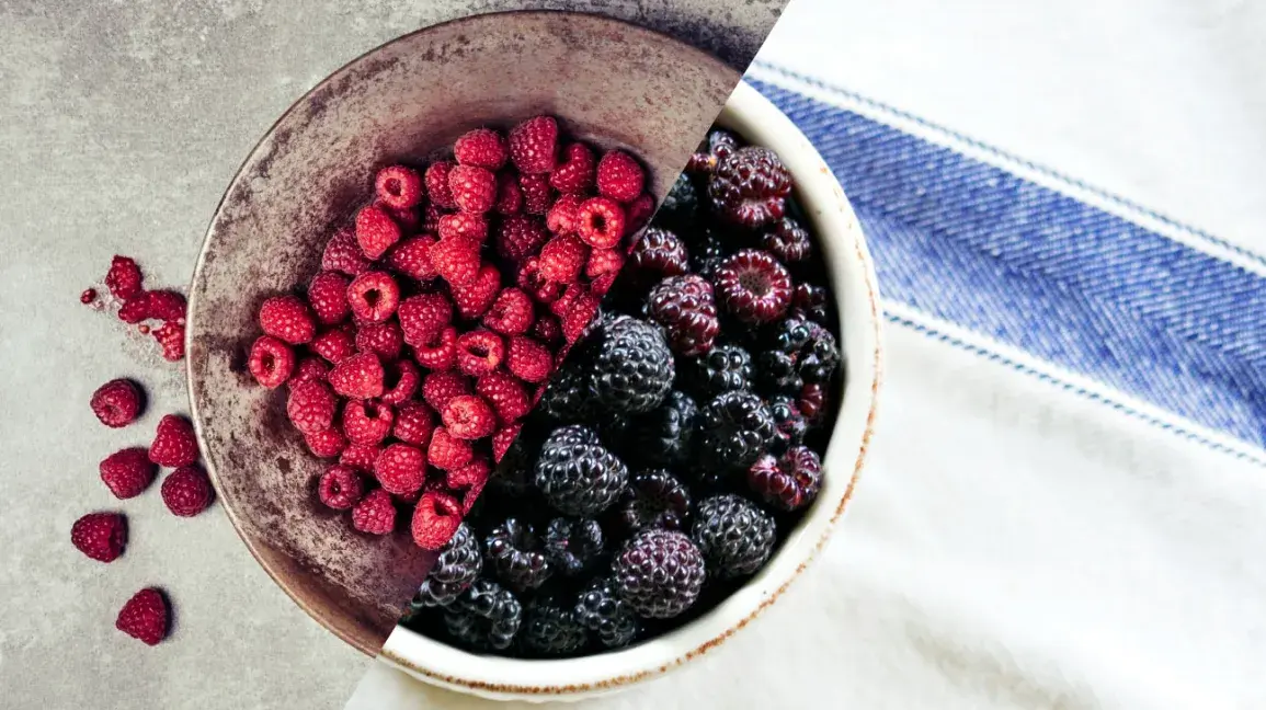 BB Fruto 21 raspberry blueberry