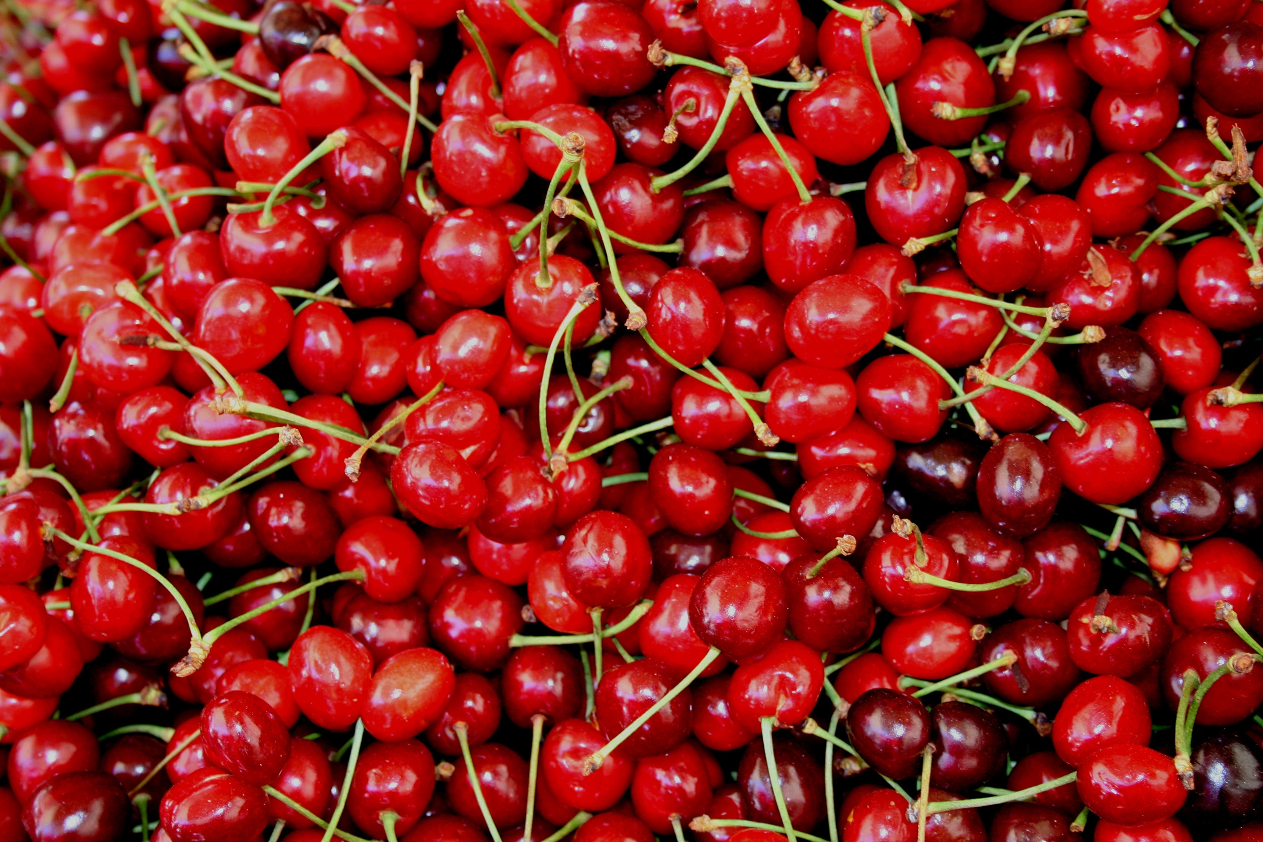 Sour Cherries - BB Fruto 21